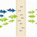 最受大众欢迎的-家用分子筛制氧机
